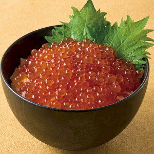 X[p[Z[yΕzkCY ݖЁ@HKIK-18  Mtg 蕨 i Ε Ε lC O 