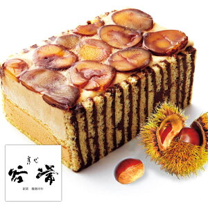 X[p[Z[yΕzِS J@I߂i[XjKT-21804  Mtg 蕨 i Ε Ε lC O 