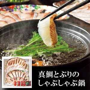 X[p[Z[yΕzBY ^ƂԂ̂Ԃԓ@SA-MB  Mtg 蕨 i Ε Ε Y I  nO  Zbg lC O 