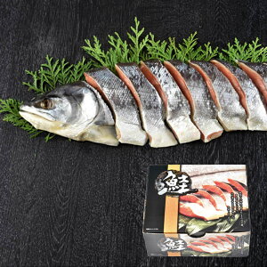 X[p[Z[yΕzkCY ѐVg@Y3-7  Mtg 蕨 i Ε Ε C̍K CY  lC O 