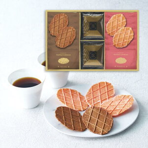 JtFKg[A\[g@CGA-20蕨 i w  j j j َq XC[c v[g 