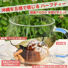 ビタミンC 天然 アセロラ 葉酸 琉球潤果茶 ハーブティー 沖縄 お土産 特産 旅行 国産 無農薬 カラキ 唐木 カラ木 シークワーサー シークヮーサー ドライフルーツ ノンカフェイン 完熟 無添加 無着色 WOJ認証 ウエルネスオキナワジャパン マルベリー 桑の実 カフェインレス