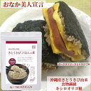さとうきびごはんの素 雑穀 雑穀米 国産 食物繊維 ミネラル ごはん 玄米 デトックス 沖縄 沖縄産さとうきび オリゴ糖 キシロオリゴ糖 雑穀米 お米 米 ファイバー おにぎり 腸活 ダイエット スッキリ