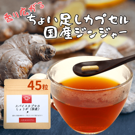 ジンジャー パウダー お湯で溶けるカプセル使用 お徳用45粒 ショウガ 生姜 サプリ 粉末 カプセル スパイス 香辛料 カタリストショップ