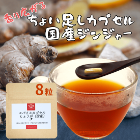 ジンジャー パウダー お湯で溶けるカプセル使用 お試8粒 ショウガ 生姜 サプリ 粉末 カプセル スパイス 香辛料 カタリストショップ