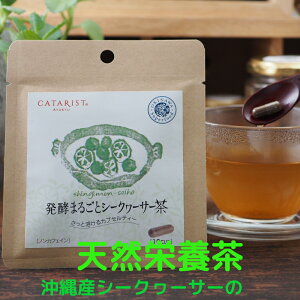 10t 10cp ij n[ueB[ V[N[T[ V[N[T[ ʎ  yY mr` wXyW N