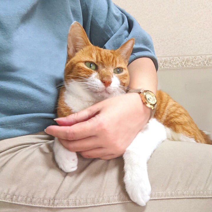 楽天市場 腕時計 レディース かわいい ピアノを歩く猫 猫グッズ プレゼント 猫モチーフ 雑貨 黒猫 モカ ブラウン ブラック レッド 猫 好き な 人 ギフト オシャレ 猫 誕生日 ねこ ウォッチ 猫好き ネコ グッズ 女性 中学生 キッズ 見やすい クリスマス Xmas 猫好き 楽天市場 腕時計 レディース かわいい ピアノを歩く猫 猫グッズ プレゼント 猫モチーフ 雑貨 黒猫 モカ ブラウン ブラック レッド 猫 好き な 人 ギフト オシャレ 猫 誕生日 ねこ ウォッチ 猫好き ネコ グッズ 女性 中学生 キッズ 見やすい クリスマス Xmas 猫好き