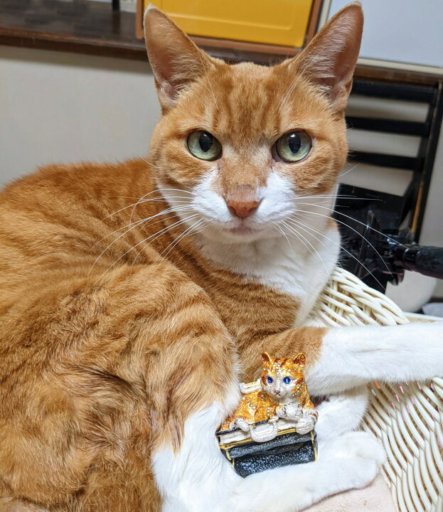 楽天市場】猫のジュエリーボックス ジュエリーケース アンティーク調 