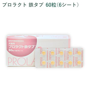 yV[g̔z vNgS^u Lp 60(6V[g) O珤io܂