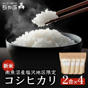 ɂX ԓ싛YnRVqJ2   A Y V lC  { V ͂  񂹃O p p Ε Mtg