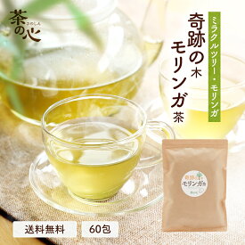 モリンガ茶 60包 2g ティーバック 奇跡の木 モリンガ 送料無料 健康茶 ハーブティ ノンカフェイン