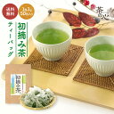 ＼スーパーセール 半額／ 初摘み茶 ティーバッグ 50包 3g 緑茶 九州産 一番茶 深蒸し カテキン ビタミンC お茶漬け 高級 健康 水出し