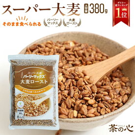 スーパー大麦 お徳用 ロースト バーリーマックス 380g シリアル 腸活 スーパーフード 送料無料 レジスタントスターチ