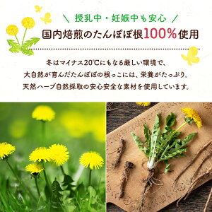 楽天市場 たんぽぽ茶 ドリップ用 100g ノンカフェイン たんぽぽコーヒー タンポポ茶 タンポポコーヒー 送料無料 デカフェ カフェインレス ノンカフェイン 国内焙煎 健康茶 マタニティー 緑茶 健康茶 サプリ 茶の心