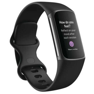 y~xxzFitbit Charge 5 NǗgbJ[ĐQđ̂𗝉 ^L^ ̋L^ X}[gtHʒm\ Suicaj Android / iOSΉB