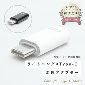 Lightning to Type-C 変換アダプタ ライトニング から USB C に変換できるアダプタ 高速充電 USB-C Android iPhone15 急速充電 データ転送 iPad Nintendo Switch type c USB C タイプC ポイント消化 送料無料