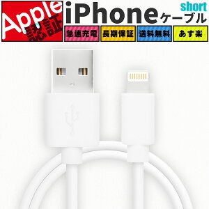 _ AppleF؍ς݁ ^ Z Lighting P[u FSC Lightning P[u F [dP[u iPhone [d CgjOP[u Abv Apple iPhone 14 / iPhone 13 / iPhone 12 / iPhoneX / iPhone8 / iPad / iPod Ή V