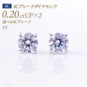 y10/30I40%OFFN[|zꗱ_Ch sAXij4{܃^Cv 4CO[h _Ch 0.2ct×2 v0.4ct G-VG-SI1 Ӓ菑tiΌ CGLj4{܃^Cv [v`i PT900] i:PC4TW