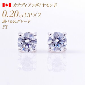 y11/25I40%OFFN[|zꗱ_Ch sAXij4{܃^Cv JifBA_Ch 0.2ct×2 v0.4ct F-Good-VS1/2 Ӓ菑t [v`i PT900] i:PC4TWsAX ꗱ_C ꗱ _C