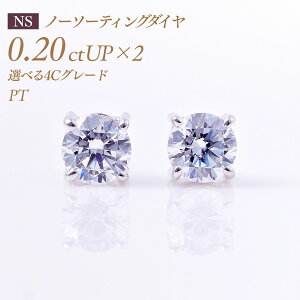 y11/25I40%OFFN[|zꗱ_Ch sAXij4{܃^Cv oC[I m[\[eBO _Ch 0.2ct×2 v0.4ct [v`i PT900] i:PC4TWsAX ꗱ_C ꗱ _C 