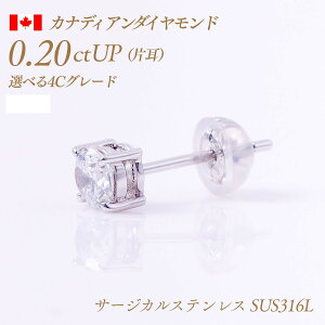 y`10/20I40%OFFN[|zAM[Ή XeX VR_Ch sAXiЎj4{܃^Cv JifBA_Ch 0.2ct D-Good-VS1/2 Ӓ菑t [SUS316L] i:PC4ON ꗱ_C