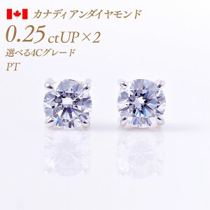 y`10/20I40%OFFN[|zꗱ_Ch sAXij4{܃^Cv JifBA_Ch 0.25ct×2 v0.5ct F-Good-VS1/2 Ӓ菑t [v`i PT900] i:PC4TWsAX ꗱ_C ꗱ _