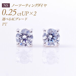 y11/25I40%OFFN[|zꗱ_Ch sAXij4{܃^Cv oC[I m[\[eBO _Ch 0.25ct×2 v0.5ct [v`i PT900] i:PC4TWsAX ꗱ_C ꗱ _C 