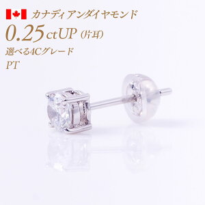 y10/30I40%OFFN[|zꗱ_Ch sAXiЎj4{܃^Cv JifBA_Ch 0.25ct F-Good-VS1/2 Ӓ菑t [v`i PT900] i:PC4ONsAX Y Ў ꗱ_C ꗱ 