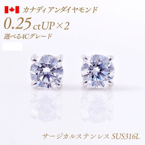 y11/10I40%OFFN[|zAM[Ή XeX VR_Ch sAXij4{܃^Cv JifBA_Ch 0.25ct×2 v0.5ct D-Good-VS1/2 Ӓ菑t [SUS316L] i:PC4TW ꗱ