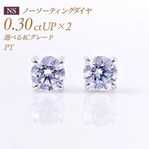 y11/10I40%OFFN[|zꗱ_Ch sAXij4{܃^Cv oC[I m[\[eBO _Ch 0.3ct×2 v0.6ct [v`i PT900] i:PC4TWsAX ꗱ_C ꗱ _C 