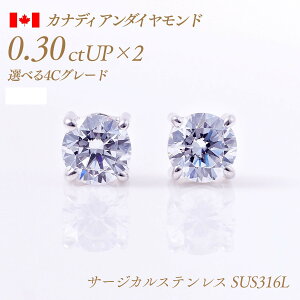 y11/10I40%OFFN[|zAM[Ή XeX VR_Ch sAXij4{܃^Cv JifBA_Ch 0.3ct×2 v0.6ct D-Good-VS1/2 Ӓ菑t [SUS316L] i:PC4TW ꗱ