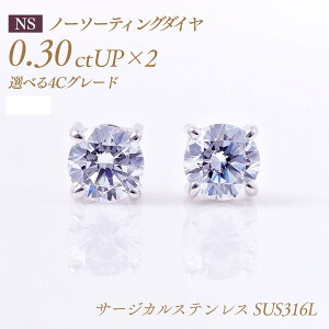 y11/10I40%OFFN[|zAM[Ή XeX VR_Ch sAXij4{܃^Cv oC[I m[\[eBO _Ch 0.3ct×2 v0.6ct [SUS316L] i:PC4TW ꗱ_
