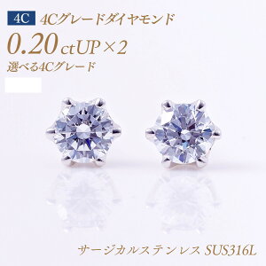 y`10/20I40%OFFN[|zAM[Ή XeX VR_Ch sAXij6{܃^Cv 4CO[h _Ch 0.2ct×2 v0.4ct D-EX-VS1 Ӓ菑tiΌ CGLj[SUS