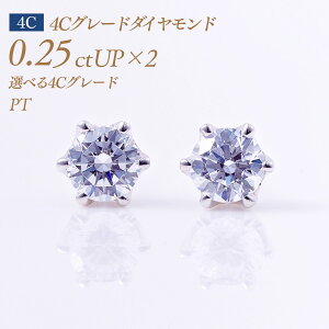 y12/10I10%OFFN[|zꗱ_Ch sAXij6{܃^Cv 4CO[h _Ch 0.25ct×2 v0.5ct D-3EX H&C-VVS1 Ӓ菑tiΌ CGLj6{܃^Cv [v`i PT900] i