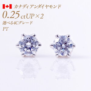 y`10/20I40%OFFN[|zꗱ_Ch sAXij6{܃^Cv JifBA_Ch 0.25ct×2 v0.5ct F-Good-VS1/2 Ӓ菑t [v`i PT900] i:PC6TWsAX ꗱ_C ꗱ _