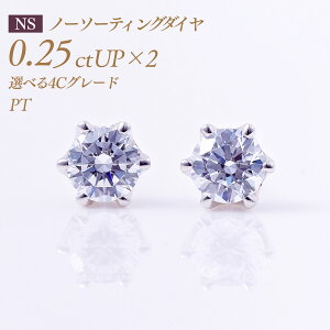 y11/10I40%OFFN[|zꗱ_Ch sAXij6{܃^Cv oC[I m[\[eBO _Ch 0.25ct×2 v0.5ct [v`i PT900] i:PC6TWsAX ꗱ_C ꗱ _C 