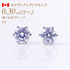 y11/25I40%OFFN[|zꗱ_Ch sAXij6{܃^Cv JifBA_Ch 0.3ct×2 v0.6ct D-Good-VS1/2 Ӓ菑t [v`i PT900] i:PC6TWsAX DJ[ ꗱ_C dJ