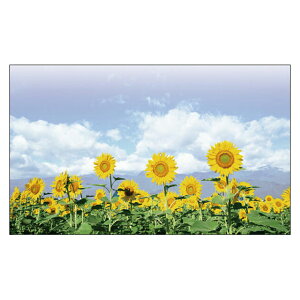 TL[J[h@Ђ܂@bZ[WJ[h@~j@O[eBOJ[h@Ӂ@ՂJ[h@肪ƂJ[h@߂łƂJ[h@hTCY@fUC@ 100pbN@菑@