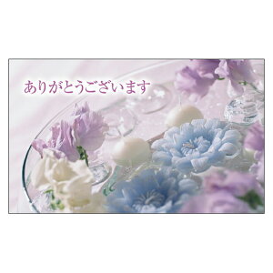 TL[J[h@Ӂ@ՂJ[h@肪ƂJ[h@߂łƂJ[h@hTCY@bZ[WJ[h @fUC@bZ[WJ[h@~j 100pbN@菑@Jt@r