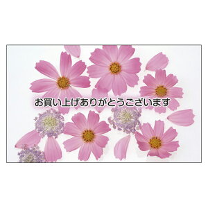 TL[J[h@Ӂ@ՂJ[h@肪ƂJ[h@߂łƂJ[h@hTCY@bZ[WJ[h @fUC@bZ[WJ[h@~j 100pbN@菑@Jt@r