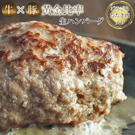 国産牛&国産豚 合い挽き たたき肉たっぷり 肉肉食感 黄金比率生ハンバーグ ハンバーグソース付き 牛肉 敬老の日 残暑見舞い ギフト お取り寄せ 内祝 御祝 誕生日 冷凍 グルメ 肉 お肉 食品