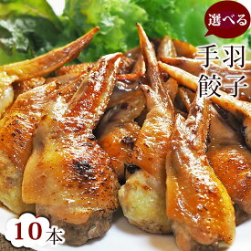【 送料無料 】 手羽餃子 お試し 10本セット（5本入×2袋） 贈り物 ギフト 手羽先餃子 肉餃子 バーベキュー BBQ bbq 焼き鳥 焼鳥 やきとり ヤキトリ 焼肉 晩酌 おつまみ 酒の肴 父の日 プレゼント 食べ物 惣菜 冷凍