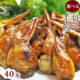 【 送料無料 】 手羽餃子 お徳用 40本セット（5本入×8袋）手羽先餃子 肉餃子 バーベキュー BBQ bbq 焼き鳥 焼鳥 やきとり ヤキトリ 焼肉 晩酌 おつまみ 酒の肴 父の日 プレゼント 食べ物 惣菜 冷凍