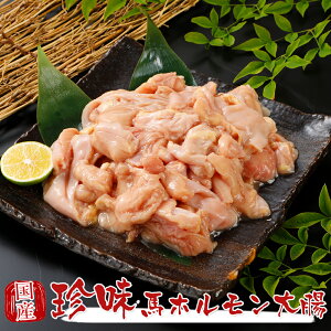 Y nh n F{ nz咰 500g Mp hV