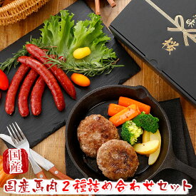 馬刺し 国産 熊本 ギフト 国産馬肉 2種詰め合わせセット 手作り馬ハンバーグ 馬肉ウィンナー 詰め合わせセット 480g 贈答 化粧箱小付き 馬肉 馬刺 純馬刺し ばさし 刺し 産直 国内 通販 名産 お土産 お中元