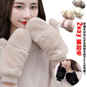  fB[X O[u ~g w؂ t@[ ~gJo[ 2way ĂԂ N  ӂӂ  g {A _炩 tFCNt@[ H~ n Vv 킢  h