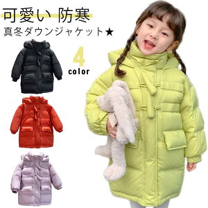 _EWPbg _ER[g LbY ̎q j̎q WjA OR[g OWPbg O AE^[ R[g t[ht 㒅 q h WPbg  h H~ n 