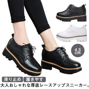 [t@[ C Xj[J[  }jbVV[Y Cq[3cm fB[X [XAbv q[ \[ V[Y 4.5cm C ₷ r ~ ₷ 芴