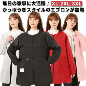 ۂ WbvAbv V[g Lb` m[J[ B fB[X h ۂ |Pbgt Gv XbN ̓ Y l  ۈm m  v[g 