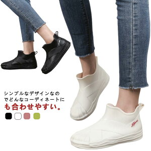 AEghA fB[X C CV[Y JC  V[g o[u[c Cu[c ʋ ʊw JWA V[gu[c C K[fjO ~J